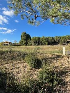 Acheter Terrain Limoux 70000 euros