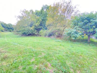 Acheter Maison Saint-polycarpe 265000 euros