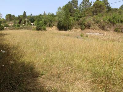 Annonce Vente Terrain Saint-polycarpe 11