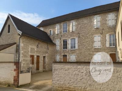 For sale Mussy-sur-seine 14 rooms 446 m2 Aube (10250) photo 0