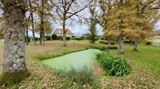 Annonce Vente Prestige Venizy 89