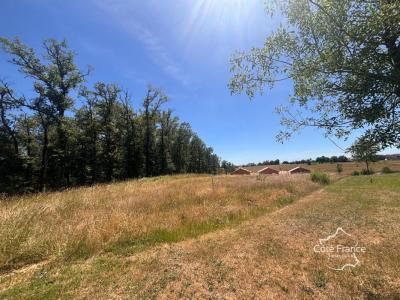 Annonce Vente Terrain Saint-santin 12