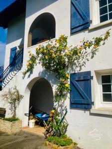 For sale Cambo-les-bains 9 rooms 260 m2 Pyrenees atlantiques (64250) photo 2