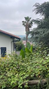 For sale Cambo-les-bains 9 rooms 260 m2 Pyrenees atlantiques (64250) photo 3