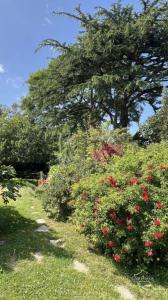 For sale Fermanville 8 rooms 200 m2 Manche (50840) photo 0