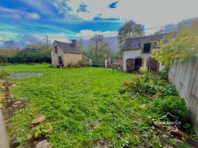 Acheter Maison 82 m2 Tannerre-en-puisaye