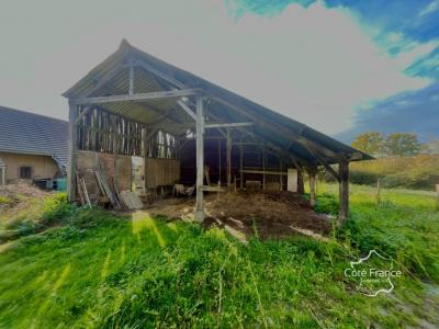 Acheter Maison Tannerre-en-puisaye Yonne
