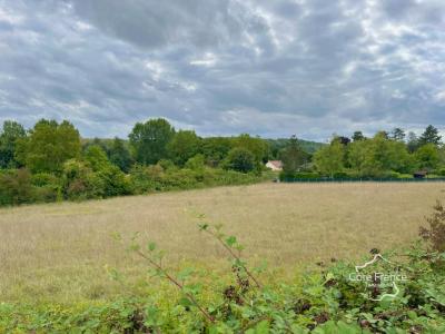 Annonce Vente Terrain Crain 89