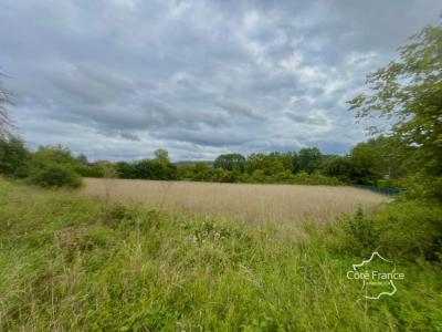 Acheter Terrain 4740 m2 Crain
