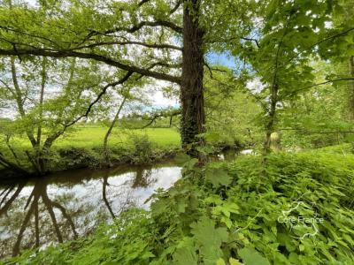 Acheter Immeuble 900 m2 Peyrat-de-bellac