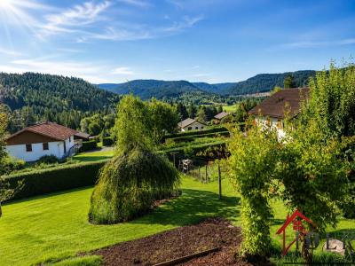 Annonce Vente 6 pi�ces Maison Liezey 88