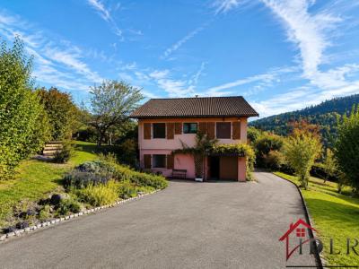 Acheter Maison Liezey Vosges