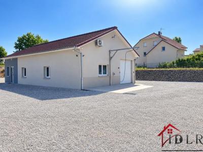 Acheter Maison 241 m2 Isle-sur-le-doubs