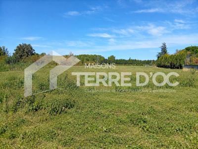 Acheter Maison 80 m2 Revel