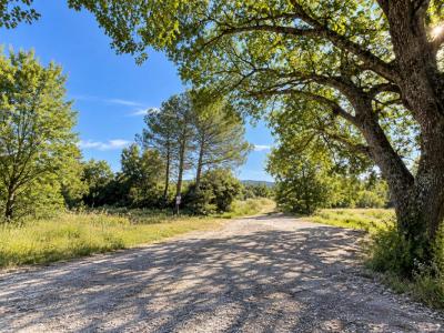 Annonce Vente Terrain Bastide-des-jourdans 84