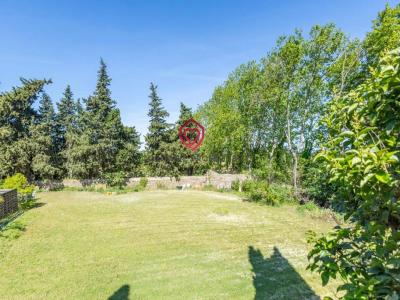Acheter Prestige Carcassonne 895000 euros