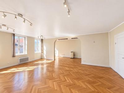 Annonce Vente Appartement Brumath 67