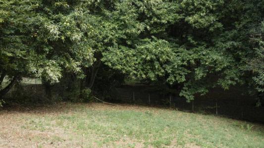 Acheter Terrain 1300 m2 Brive-la-gaillarde