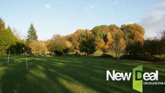 Annonce Vente Terrain Sadroc 19