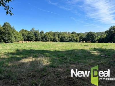 Annonce Vente 5 pi�ces Maison Arnac-pompadour 19