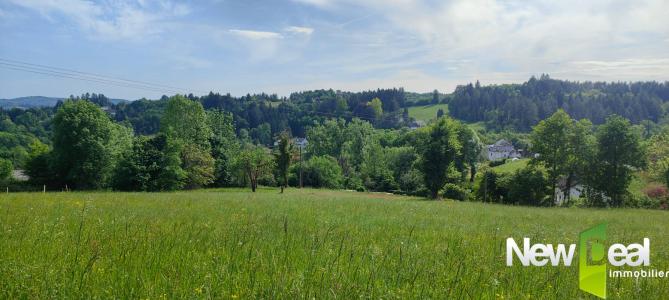 Annonce Vente Terrain Tulle 19