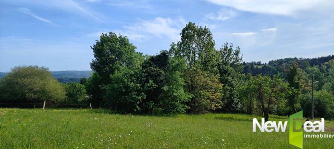 Acheter Terrain Tulle 43000 euros