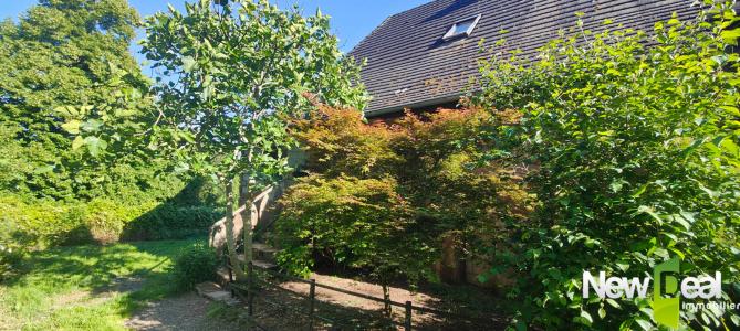 Acheter Prestige Saint-robert 174000 euros