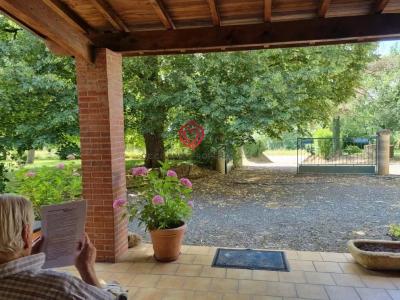 Acheter Prestige Mirande Gers