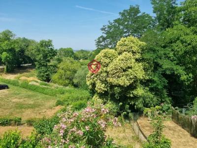 Annonce Vente 5 pi�ces Maison Castelnau-magnoac 65