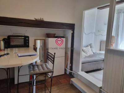 Acheter Maison Castelnau-magnoac 97500 euros