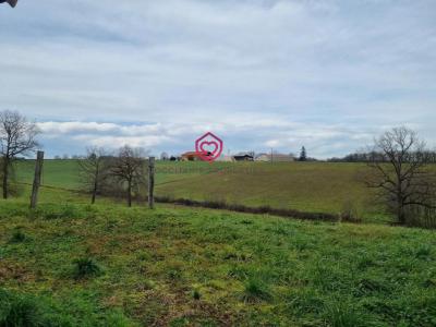 Annonce Vente Prestige Sere 32