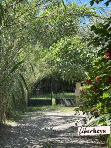 Annonce Vente Terrain Agde 34