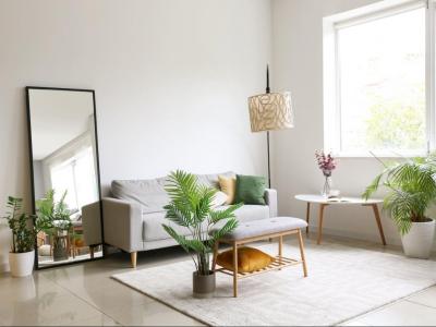 Annonce Vente 3 pi�ces Appartement Hazebrouck 59