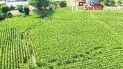 Vente Terrain Bournois  2158 m2