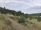 For sale Land Limoux  8095 m2