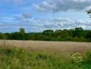 Vente Terrain Crain  4740 m2