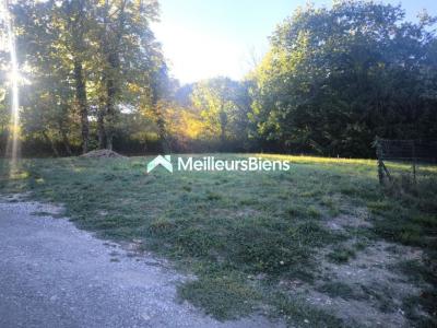 Annonce Vente Terrain Bornay 39