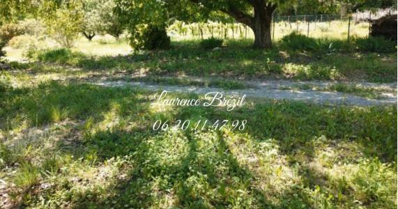 Annonce Vente 5 pi�ces Maison Brillanne 04