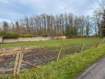 Annonce Vente Terrain Theillay 41