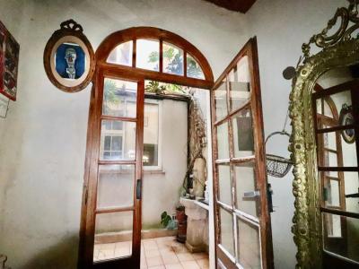 Acheter Maison 264 m2 Arles