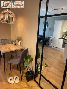 Louer Appartement Lyon 500 euros