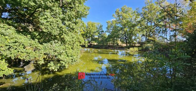 Annonce Vente 7 pi�ces Maison Egreville 77