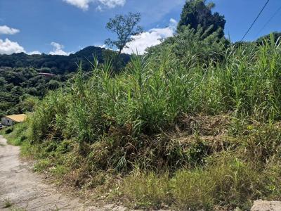 For sale Vauclin 568 m2 Martinique (97280) photo 1