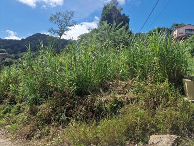 For sale Vauclin 568 m2 Martinique (97280) photo 2