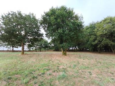 Annonce Vente Terrain Carhaix-plouguer 29