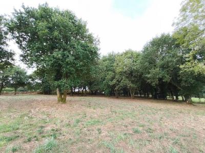 Acheter Terrain Carhaix-plouguer Finistere