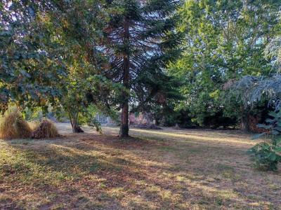 Annonce Vente 4 pi�ces Maison Montauban 82