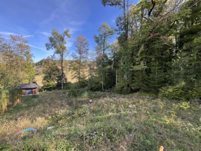 Acheter Maison Metz-tessy 780990 euros