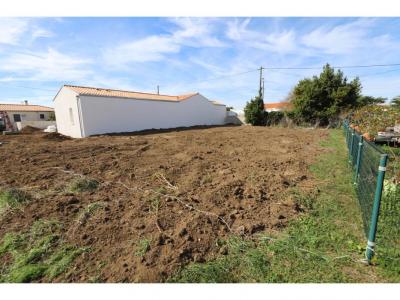 Annonce Vente Terrain Saint-georges-d'oleron 17