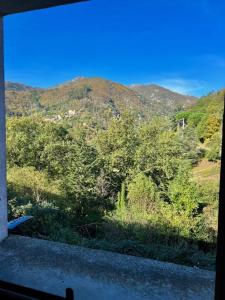 For sale AVEC BELLE VUE 5 rooms 90 m2 Herault (34390) photo 0